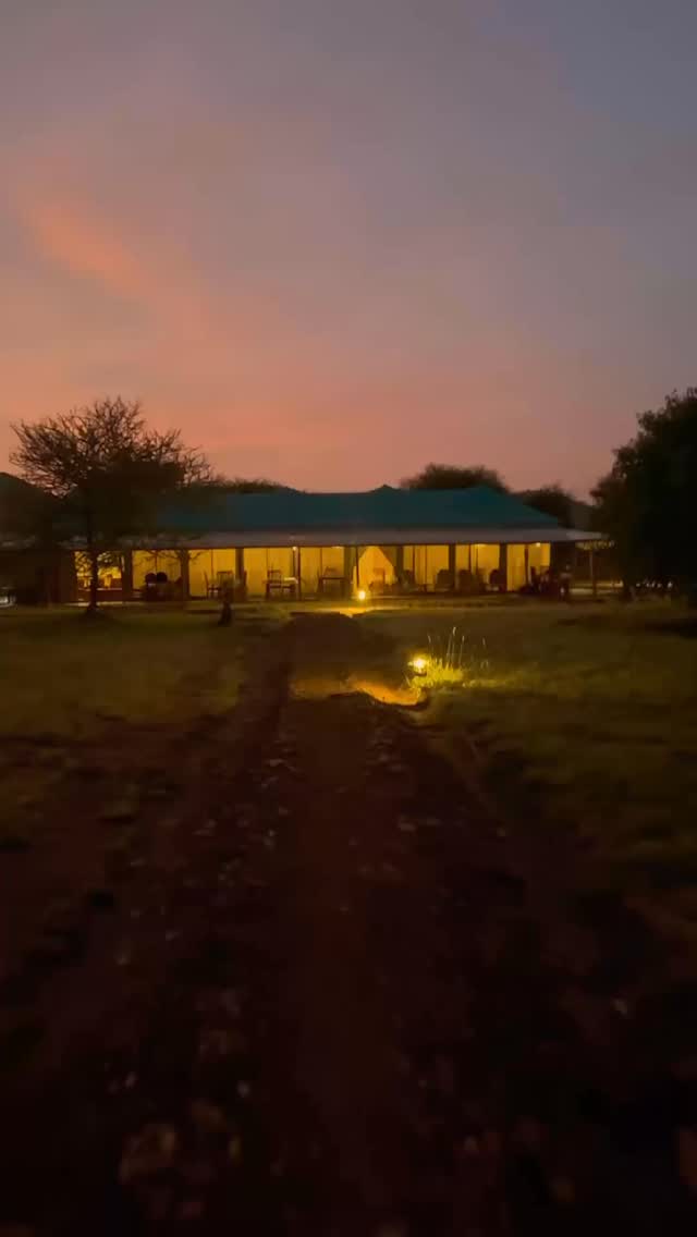 Why we’re up before the sun:
1️⃣ Predators are still on the move.
2️⃣ The ‘Golden Hour’ glow is unmatched.
3️⃣ The bush ‘alarm calls’ lead us to the action.
Would you brave a 5:00 AM wake-up call for this view?
Info@bigfivetrails.com
#viajestanzania #bigfivetrails #serengetisafari #goldenhourphotography #luxurysafari