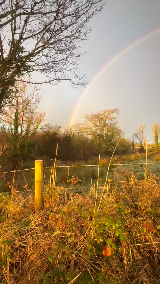 When you’re managing allergies, uncertainty can quietly start to shrink life.
It can feel as though you need to feel calmer, more confident, or more certain before you say yes to plans, connection, or joy.
But meaning doesn’t come from certainty.
It comes from how we choose to live, even when things feel unsure.
If anxiety is loud right now, some gentle ways to support yourself include:
🤍 Noticing what is within your control today, and consciously softening around what isn’t
🤍 Bringing your attention back to the present moment rather than future “what ifs”
🤍 Allowing anxiety to be there without letting it make all the decisions
🤍 Taking small, values-led steps that reflect what matters to you or your family
Anxiety often shows up when safety and care matter deeply.
That’s not a flaw.
🤍 It’s human.
You don’t have to wait for uncertainty to disappear before you start living.
You can build a meaningful life alongside it, one small choice at a time.
