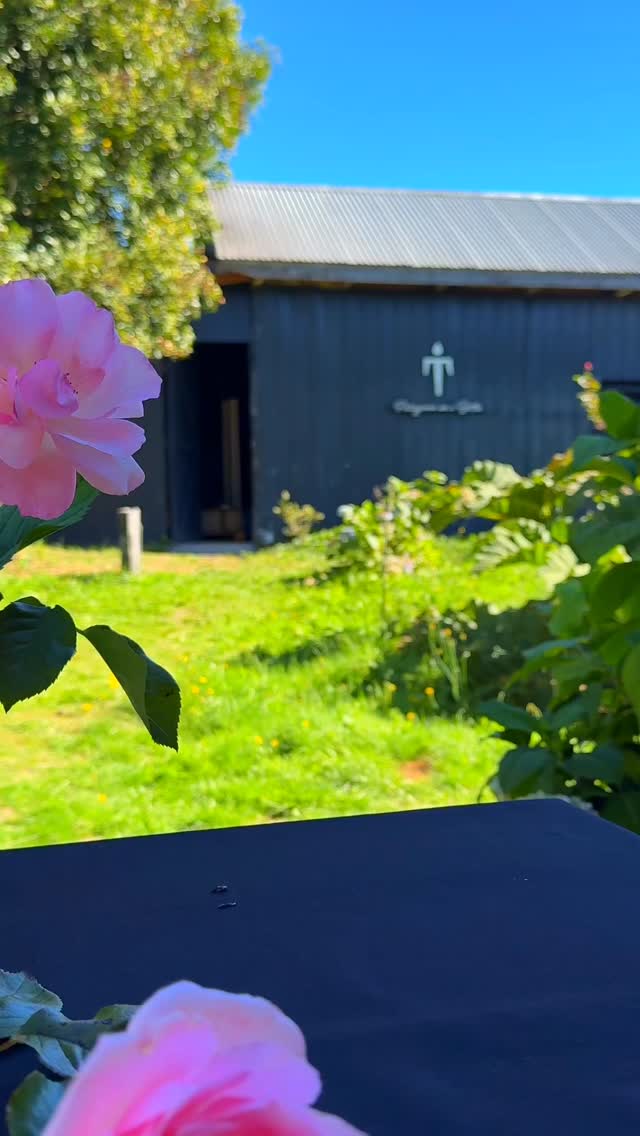 ❤️ Semana de San Valentín en Tepaluma ❤️ Del 7 al 14 de febrero.
🎶 Playlist especiales🍫 Bombones para acompañar🍸 Bar Tepaluma: 2 cócteles x $14.000 durante toda la semana.
El amor no es una sola historia, son momentos que se sienten, se brindan y se recuerdan.
7 momentos, 7 cocteles:
💐 Rosas y mariposas: Maqui Royale
🔥 La pasión del primer encuentro: Chilco Sexy Sour
🥂 La celebración de la amistad: Maqui Spritz
🤍 La consolidación: Maqui Sour
💔 El despecho femenino: Maquitini
🥃 El despecho masculino: Negroni
✨ Los años dorados de quienes persisten: Añejado en las rocas
Te invitamos a elegir tu momento en el amor y vivirlo con nosotros, copa en mano ❤️🔥
Receta N° 2: Rosas y Mariposas con un Maqui Royale
- 25 ml de Tepaluma® Maqui Gin (mitad de mini)
- 10 ml de syrup simple (Si lo quieren más dulce… !adelante!)
- Completar con espumante rosado sin alcohol
Canción: Rosas, La Oreja de Van Gogh, 2003.
………………
⚠️ ᴀᴅᴠᴇʀᴛᴇɴᴄɪᴀ: ᴇʟ ᴄᴏɴsᴜᴍᴏ ɴᴏᴄɪᴠᴏ ᴅᴇ ᴀʟᴄᴏʜᴏʟ ᴅᴀñᴀ ᴛᴜ sᴀʟᴜᴅ I ɴᴏ ʙᴇʙᴇʀ ᴀʟ ᴄᴏɴᴅᴜᴄɪʀ I ʀɪᴇsɢᴏ ᴘᴀʀᴀ ᴛᴜ ʙᴇʙé I ɴᴏ ʙᴇʙᴇʀ ᴍᴇɴᴏʀᴇs ᴅᴇ 𝟷𝟾 ᴀñᴏs I ᴍɪɴɪsᴛᴇʀɪᴏ ᴅᴇ sᴀʟᴜᴅ
ℹ️ᴠᴀʟᴏʀ ᴇɴᴇʀɢéᴛɪᴄᴏ ᴅᴇ ᴛᴇᴘᴀʟᴜᴍᴀ ɢɪɴ: 𝟸𝟺𝟶 ᴋᴄᴀʟ ᴘᴏʀ ᴄᴀᴅᴀ 𝟷𝟶𝟶 ᴍʟ I ᴛᴇᴘᴀʟᴜᴍᴀ ᴍᴀǫᴜɪ ɢɪɴ: 𝟸𝟷𝟽 ᴋᴄᴀʟ ᴘᴏʀ ᴄᴀᴅᴀ 𝟷𝟶𝟶 ᴍʟ I ᴛᴇᴘᴀʟᴜᴍᴀ ɢɪɴ ᴀñᴇᴊᴀᴅᴏ: 𝟸𝟺𝟻 ᴋᴄᴀʟ ᴘᴏʀ ᴄᴀᴅᴀ 𝟷𝟶𝟶 ᴍʟ
#TepalumaGin #Patagonia #sanvalentin #amor #love