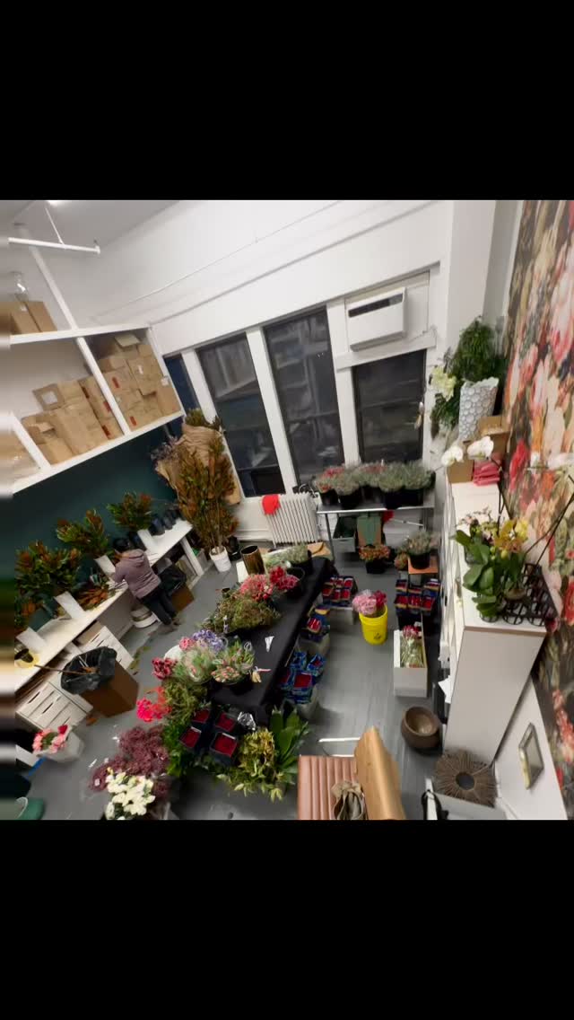 Monday, Valentineâs week.
.
#Roses #dragonflyroses #tulips #valentine