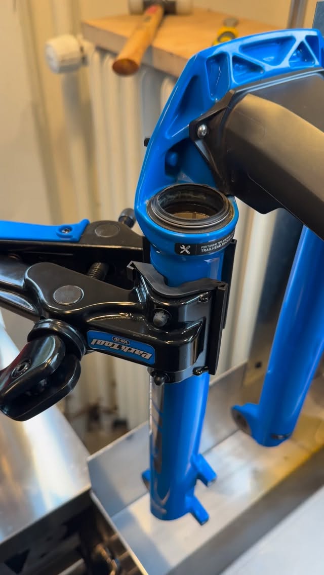 used vs fresh: the foamrings right below your forks main seals are ment to keep your stanchions lubricated. but they also collect dirt that comes in after some time of usage and then start to slowly eat your precious suspension from the inside if not changed soon enough ๐ฅน