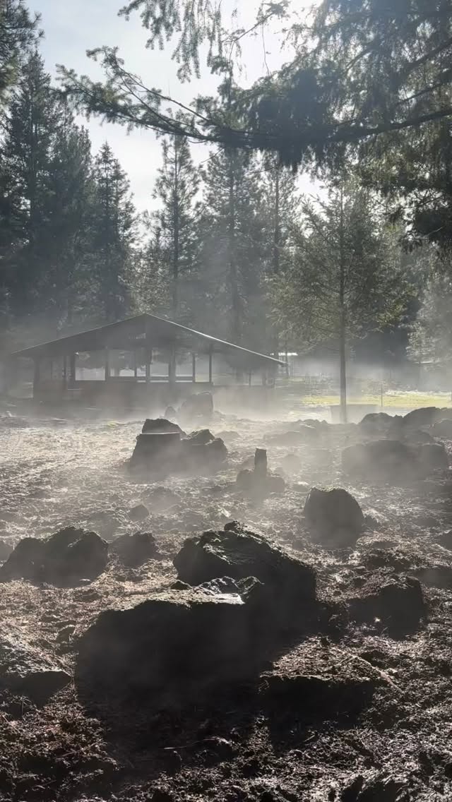 Mystic mornings at Vinur Farm ❤️ big changes are on the horizon for us this year, and it is important to stop and remember to just be and breathe every now and again. What a wonder this world is ☀️ #mysticmorning #earthcreations #vinurfarm #wintersun #nosnow