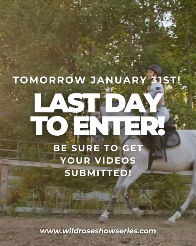 🎉 We’re starting 2026 out with a BANG! 🎉
Our January Show has already received almost 50 entries!! 🤯🐎
We are SO thankful for every rider who entered! Your participation is what brings the excitement, competition, and fun to these virtual shows! The amazing number of entries allows us to keep running this show for you and work more on continuing to grow it for you!
⏰ Reminder:
✨ Entries close TOMORROW
🎥 All videos must be submitted by MIDNIGHT on January 31st
If you’ve been on the fence… this is your sign 👀
Let’s kick off 2026 strong together! 💪✨ Grab your horse and your phone📱and video your ride to get your entry in!
Thank you all for the support—you truly make this community amazing! 💙
#VirtualHorseShow #EquestrianLife #OnlineCompetition #HorseRiders