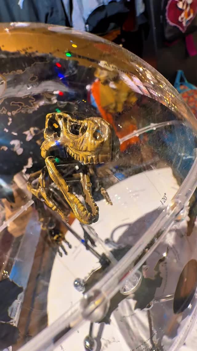 🌎✨ La historia del mundo… con un habitante jurásico.
Este globo terráqueo con luz LED combina exploración, diseño y cultura pop en una sola pieza. Base metálica, esfera transparente y en el interior un dinosaurio que parece caminar entre continentes.
Recargable por USB 🔌
Ideal para escritorio, estudio o ese rincón donde viven tus objetos favoritos 🦖
De día es decoración, de noche es atmósfera.
Una pieza diferente, para quienes coleccionan el mundo.
Disponible en Artefacto Store.
#ArtefactoStore #DecoraciónGeek #Dinosaurios #GloboTerráqueo #Coleccionistas PopCulture LuzAmbiental