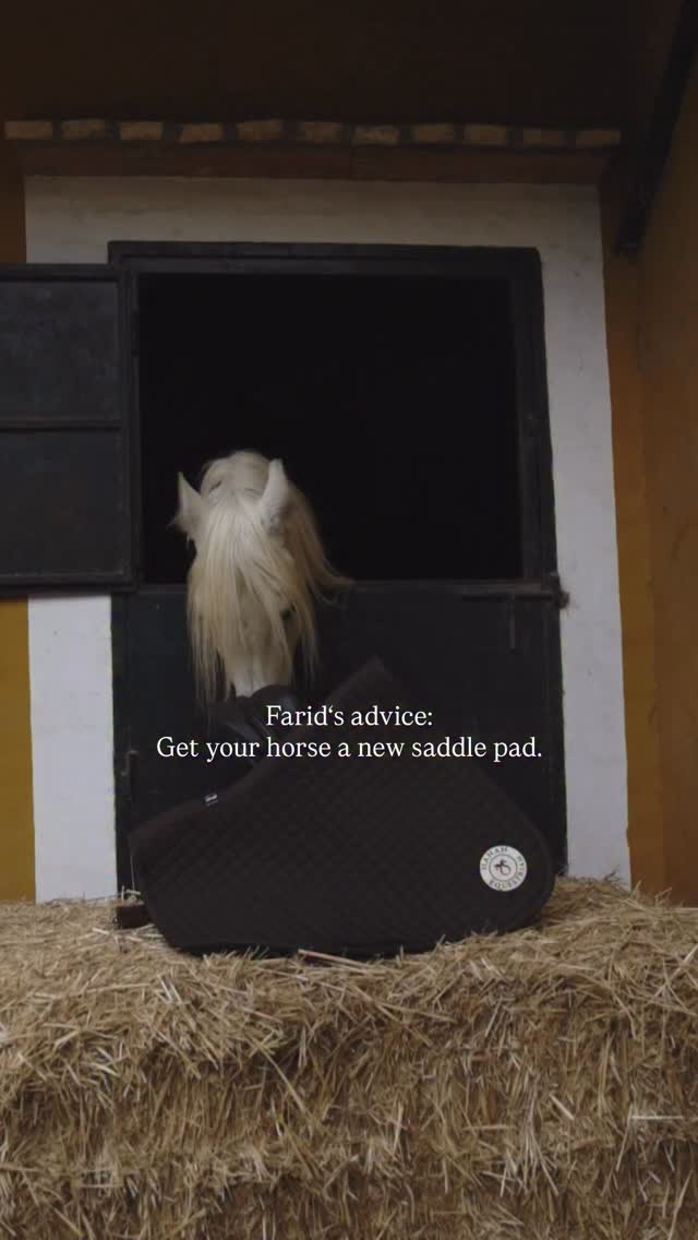 A thought from Farid:
What feels right and looks right must be bought.
Our new HANAN saddle pad —
designed for harmony between horse and rider.