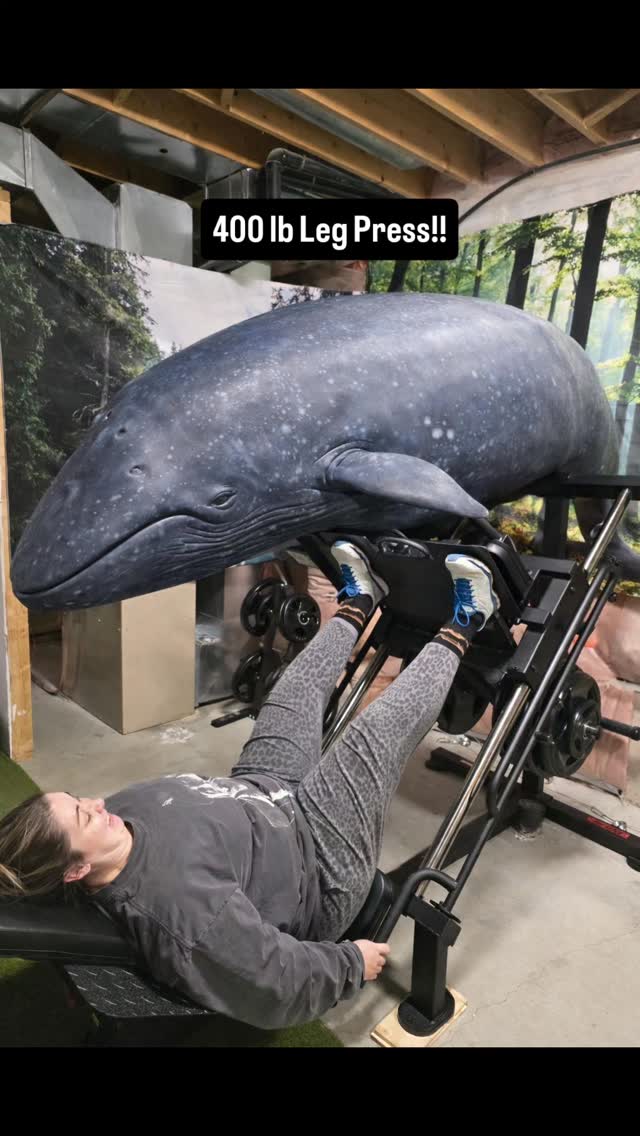 @deekostynyk Leg pressing a 400 lb Blue Whale! New PR!
Woohoo!! Go Danielle!!