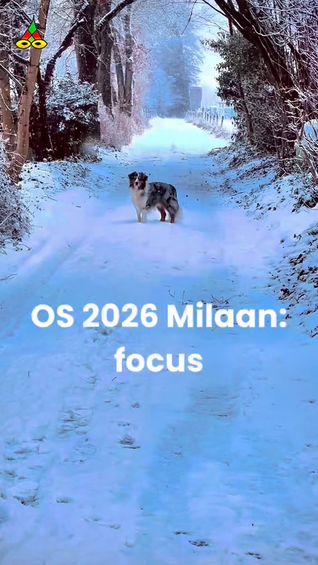 - Focus
‘On your marks… get set’
‘Ready’
Ze is goed vandaag.
En ze weet het.
Volg het @poeziejournaal - dichterlijke reportages met rechte rug en open hart.
✍️ Maurice Jonkers & 🎥 Hilma ten Boske
Wil jij ook een gedicht of optreden?
Stuur een DM of kijk via de link in bio.
#poeziejournaal #spokenword #focus #milanocortina2026
#olympisch #schaatsen