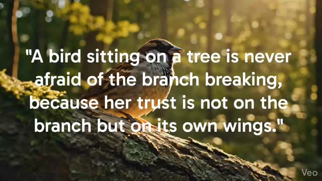 Trust your wings, not the branch. 🕊️
We often spend our lives worrying about the "branches" we stand on—our jobs, our circumstances, or the stability of the world around us. But true peace doesn't come from a sturdy branch; it comes from knowing you have the strength to fly if it ever breaks.
Build your skills. Nurture your resilience. Invest in yourself. When you trust your own "wings," you stop fearing the fall and start enjoying the view.
#SelfReliance #Resilience #InnerStrength #GrowthMindset #TrustYourself