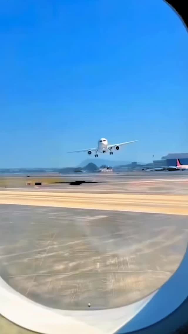 Best Clinic in Town
✨
Palmetto Animal Clinic
📲305-824-9990
📍1919 W 68 St. Hialeah, Fl 33014
🌐Website:
https://www.palmettoanimalclinic.net
#palmettoanimalclinic #florida #miami #hialeah #veterinarymedicine vettech vetmed PalmettoAnimalClinic NewPatient FurFamily WelcomeLittleOne