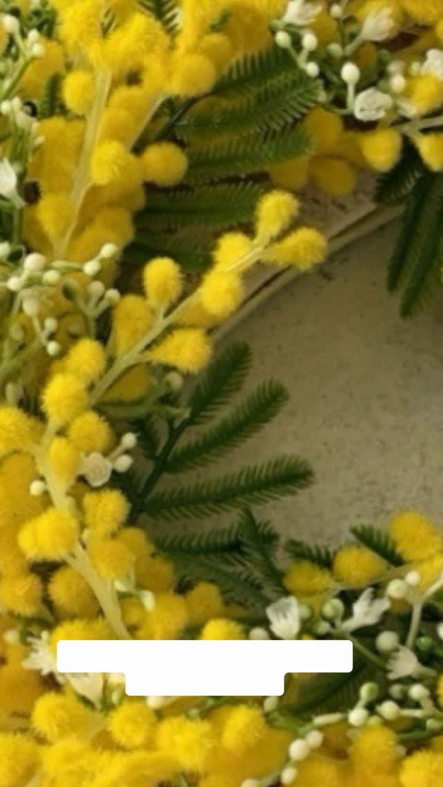 🌼 2月限定 ミモザレッスンのご案内 🌼
毎年人気のミモザレッスンを、今年も開催いたします。
3月8日は「ミモザの日(国際女性デー)」
イタリアでは、大切な女性へ感謝を込めてミモザを贈る素敵な習慣があります。
春の訪れを告げるふんわりとした黄色のミモザは、
飾るだけで空間を明るくし、気持ちまで華やかにしてくれる特別なお花です。
今回のレッスンでは、上質なアーティフィシャルフラワーを使用し、
長く美し