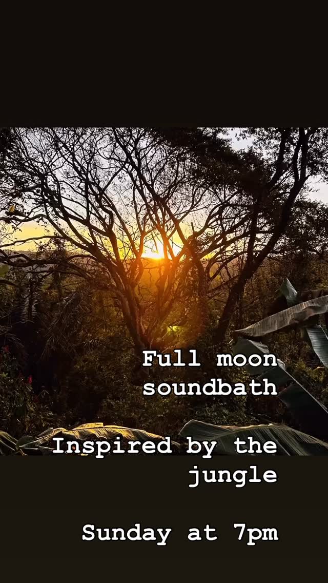 Just back from the jungle of Costa Rica landing this week in the heart of Winter. Join me Sunday for sound, restorative shapes and guided sense memories from the jungle floor, river and mangroves and warm ocean at sunset.