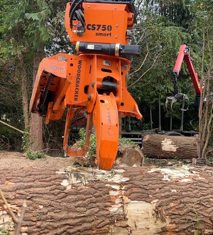 Contracted in to safely dismantle and remove dangerous trees š³
Thankfully our extensive collection of in-house machinary makes light work of these otherwise difficult projects š
#mechanisedarb #grapplesawtruckcompany #inhousehaulage #timbertruck #timberremoval #timberlorries #magniroto #magnifique #magni #woodcrackercs750 #compliance #ashdieback #ashdiebackawareness #treecontractors #lowloader #mechanicaltreedismantling #woodcarvers #woodsculpture #treerecycling #reuse #biomass #mechanicaltreedismantlingcompany #wallacetimberservices #contracthire #uk @michaeljonescs
Info@wallacetimber.co.uk
01428727799
07775834129
Instagram - wallacetimberservices