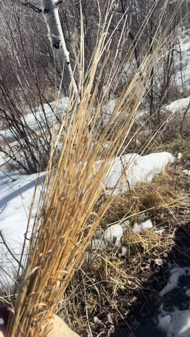 It was a #beautiful #imbolc
🌀
Here’s to regenerating, to unfurling and preparing for growth.
🌀
#selfcare #magic #power