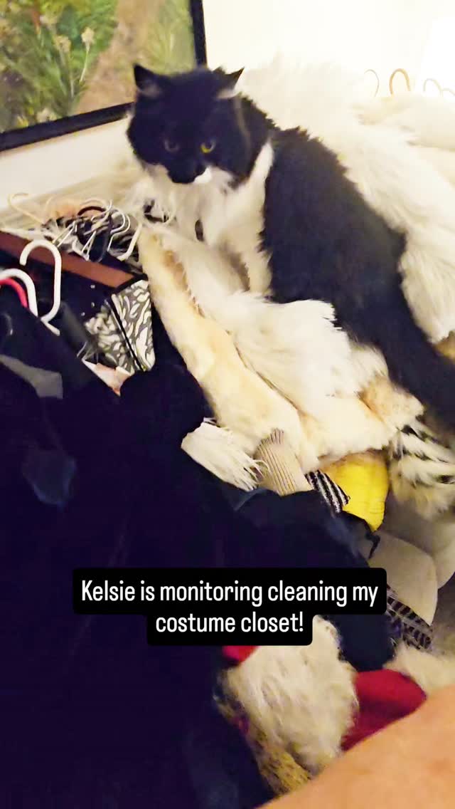 When you are getting ready to get some big things done, it's time to clean house and get your things in order. Kelsie, my cat, was kind enough to help out. My coaching clients are also cleaning. We're getting in the flow! So exciting!
#cleaninghouse #findtheflow #tuxedocatsofig