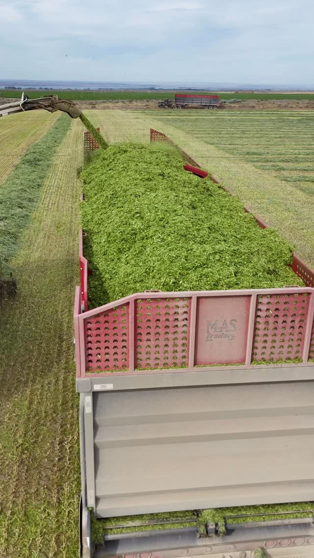 Mother nature does her thing. We do ours.