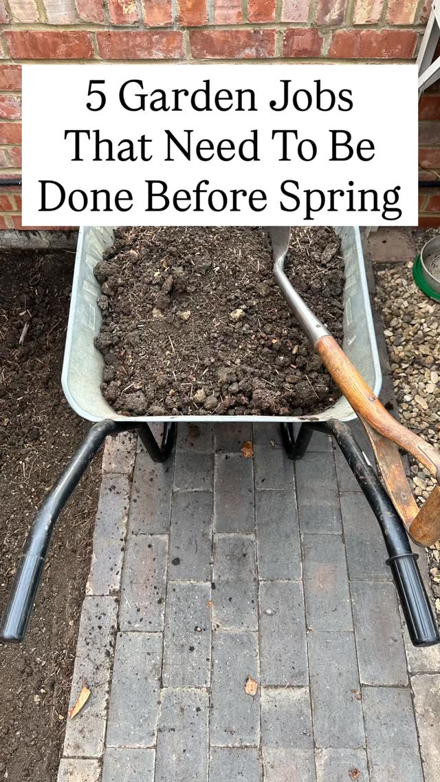 Spring has a way of arriving all at once, and if you arenāt ready, the garden will quickly outpace you. Think of these five tasks as your guide to ensure everything runs smoothly once the sun starts actually shining.
1. Mulch Borders
This is your best defense against the āBig Weed Awakening.ā Applying a thick layer of organic matter now smothers weed seeds before they germinate. It also locks in winter moisture and improves soil structure before the ground dries out in late spring.
2. Repair and Clean Waterbutt
Spring showers are only useful if you can catch them. Algae and debris build up over winter, which can lead to disease when you water delicate seedlings later.
Ensure seals are watertight and the tank is sterile so you have a bank of pH-neutral water ready for the summer dry spells.
3. Pot On Autumn Cuttings
By now, those cuttings have likely exhausted the nutrients in their starter compost and their roots are hitting the sides of the pot.
Moving them into slightly larger pots with fresh compost gives them the āfuel injectionā they need to put on a growth spurt the moment temperatures rise.
4. Cut Back Hellebore Leaves
Old foliage often carries Hellebore Leaf Spot (dark black blotches). Removing the tatty old leaves prevents the fungus from spreading to the new growth.
It also clears the stage so you can actually see the nodding flowers, which would otherwise be hidden under a canopy of leathery, dead leaves.
5. Sow Chilli and Pepper Seeds
Chillies and peppers have a notoriously long germination and growth time. They need a long growing season to produce heat and ripen their fruit.
Sowing them now (with a heat mat) ensures they are sturdy plants by May. If you wait until spring officially hits, youāll likely end up with a harvest of green peppers that never quite turn red before the first autumn frost. #gardeningjobs #gardening #spring