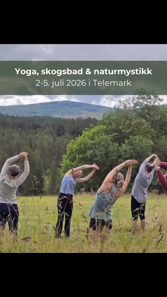 Lengter du etter tid til yoga, ro og natur? 💚☘️
Bli med meg på en helg, langhelg eller ukes retreat borte fra alt.😇
💚 13-14 juni: Yogahelg for mor og tenåringsdatter
💚 2-5 juli: Yoga, skogsbad & naturmystikk i Telemark
💚 11-13 september: Yoga & fjellturer på Venabu
💚 2-4 oktober: Yoga og stemmehelg på Mesna
💚 November 2026: Yoga og lydhealing ved Rødehavet
💚 November 2027: Yoga & fotturer i Marokko
Helgene finner du under www.osloyoga.no/events
Langhelg og ukes retreater: www.osloyoga.no/retreater
🧘🏻♀️
Velkommen til oppmerksomt nærvær, naturopplevelser, ro, bevegelse og yoga!🙏🏻⛰️
Jeg @jannickewiel gleder meg til å dele disse opplevelsene med deg.🥰 Noen av turene leder jeg alene, noen har jeg sammen med andre
@sandra_rappell leder skogsbadene i Telemark.
@mariusholth leder stemmeworkshopene på Mesna
@talcoleman leder lydhealingen i Sinai