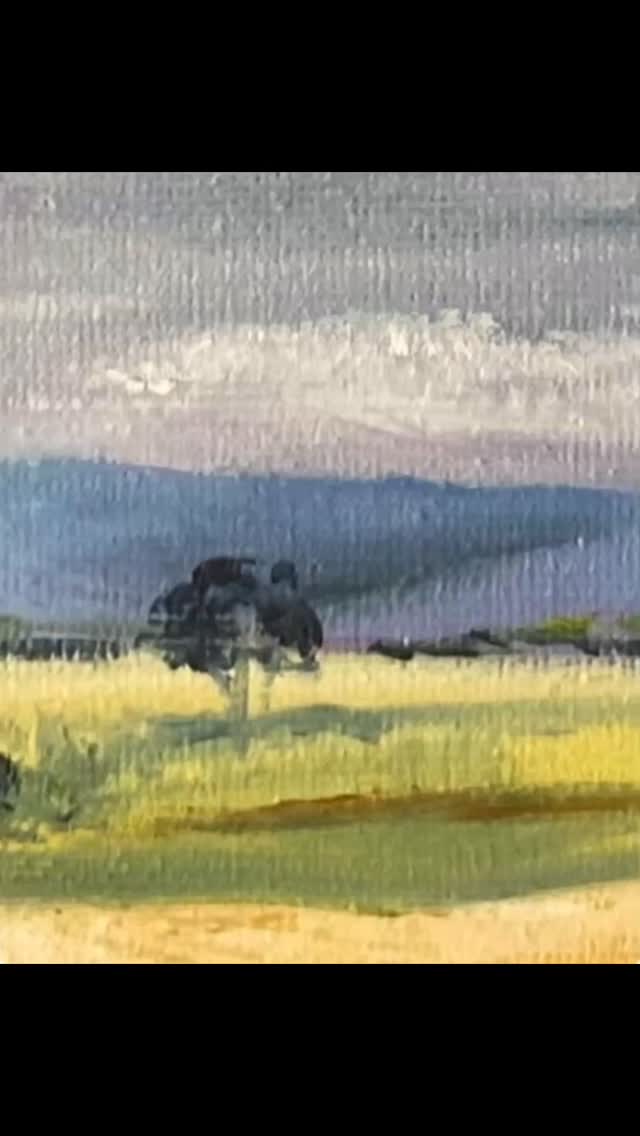 Grazing Cattle, Cressbrook
Oil on Canvas
Loving the beautiful rich colours of oils to capture the fabulous grasslands around home.
#lyndasampsonart #australianartist #outsiderart #archive #oilsoncanvas #mypaintings #artarchive #somerset #cressbrook #cows #grasslands #clouds