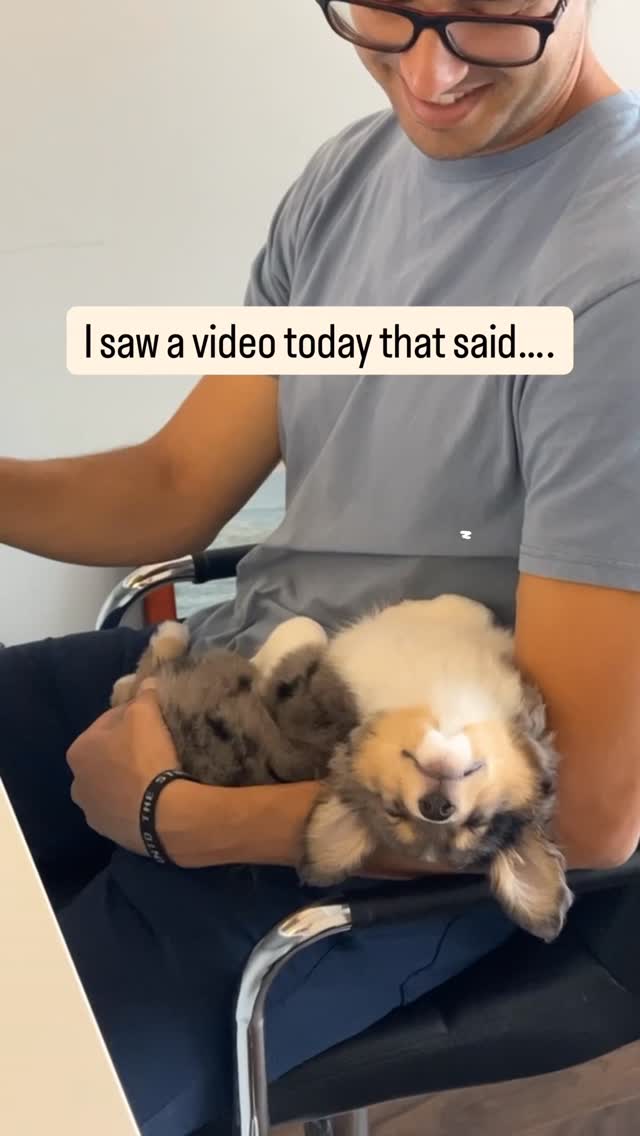 Best friends for LIFE 🐾❤️🙌🏼
it makes me just beam ☺️with joy to see the best life that so many of our puppies go on to live in Families like this!! ❤️ truly the most amazing families adopt puppies from Sunset Hill and this is a perfect example “Stevie Beans” living his best life🙌🏼🙌🏼🙌🏼 (Maggie x Ziggy pup) 🐶
#dogmomlife🐾 #miniaussiepuppy #bestfamilydog #chicagodogs #aussiesofchicago