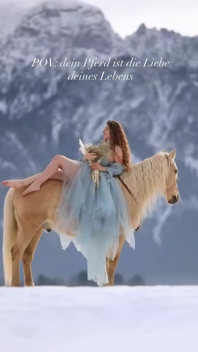 Was ich mit dir erleben darf ist ein Geschenk. 🌟
Du bist mein Ruhepol, meine große Liebe, mein ganzer stolz, Entertainer, Seelenpferd, und prägendster Part meines Lebens.
•
Dank dir darf ich erleben wie es ist so ein starkes Herz an seiner Seite zu haben und so zu fühlen. Mit dir gibt es keine schlechten Tage mehr… denn ich sehe dich- immer. Alles was du gibst und für mich tust ist nicht selbstverständlich und ich verspreche dir auch für dich immer alles zu geben. 🙏🏻
•
Danke Sui. Es ist in Worte nicht zu fassen wie groß meine Liebe zu dir ist und wie dankbar ich für dich bin.
Danke an @lauras.photomoments für diese Momente,
die du heute eingefangen hast und danke @sophiagfotografie für die Möglichkeit bei deinem Portfoliotag dabei gewesen sein zu dürfen. ❤️