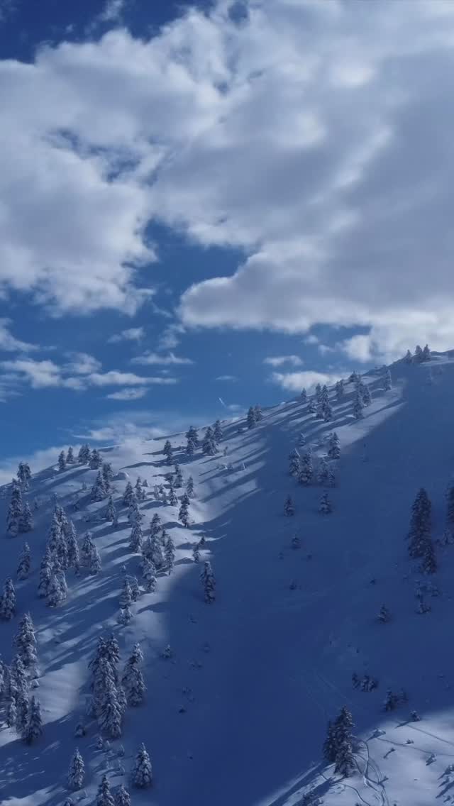 White days @kalavritaskiresort
#kalavritahotels #kalavritahotelsassociation #kalavrita
@kalavritaskiresort