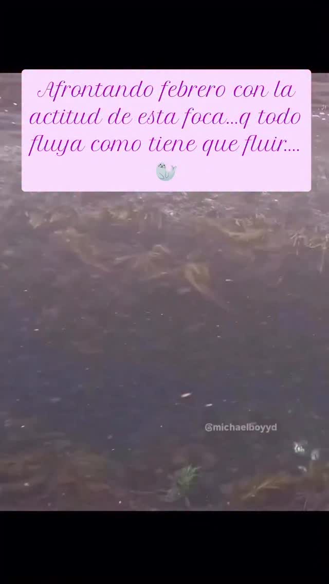 Enero se hace larguísimo,no? Espero q no sea sólo a mí😉
Por eso febrero vamos a tomarlo con tranquilidad (toda la que podamos) porque este mes espero ir contándoos cambios y cosas muy bonitas!!!☺️🧶
Vamos a por tí febrero de 2026!!!💕
#lanicastorezaragoza #tiendasdelana #febrero2026 #comunidadtejeril #puntoyganchillo