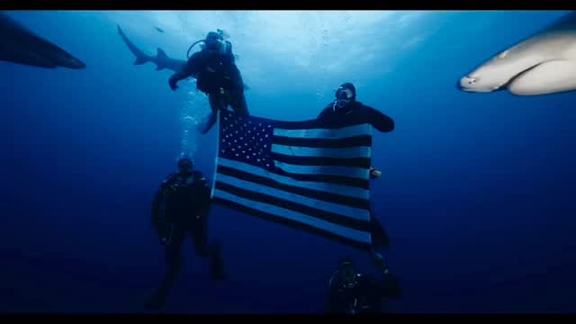 Huge shout out to our veterans who braved the cold to go visit our Florida sharks. Big thank you to @bellablusharkmermaid for guiding our veterans. @jsamuel215 @neptunic_com @blackflag_charters #veteran #scuba #shark #floridasharks #badass thank to @fraziernivensoceanimaging for the video.