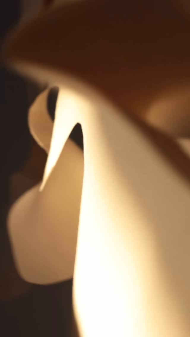 Inauguramos el ciclo de exposiciones 2026 con Entramados sensibles de Fernanda Almanza @nna_de_agua Una exploración sensible sobre los vínculos entre naturaleza, cuerpo y ciudad desde el dibujo, la escultura y la instalación. ¡Ya disponible en la galería de Cordoba Lab! #jalatlacooaxaca 📍
.
.
.
#galeriaoaxaca #galeriadearte #exposiciondearte #artecontemporaneo