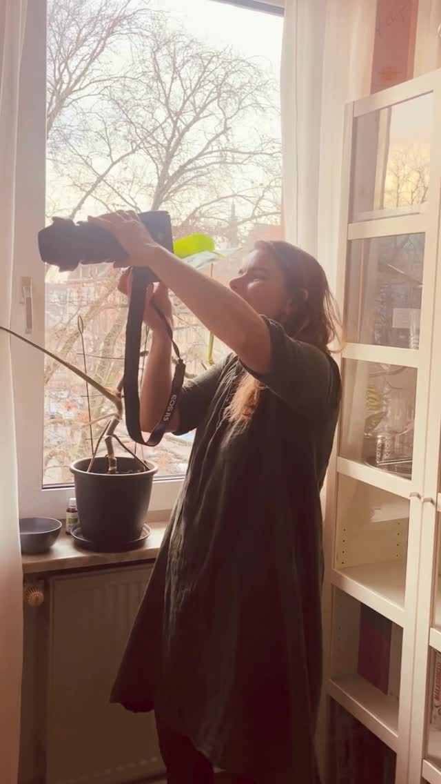 Ihr braucht kein Schloss.
Nur ein Fenster.
Ich bringe den Rest mit.
Natürliche Babybilder mit der Familie –
ganz ohne Stress, zuhause.
#babyfotograf
#babyfotografie
#babyfotografheidelberg #fotografmannheim