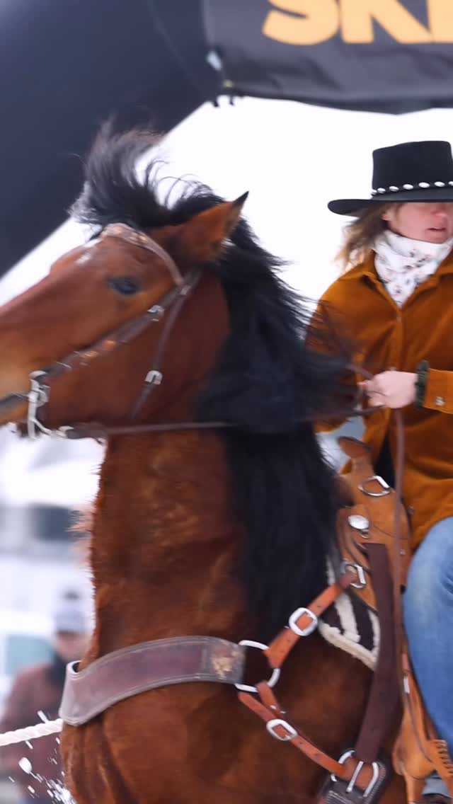 Skijoring in Logan today was awesome!
Love, capturing my two favorite things 🐎⛷️
Great event by @proskijoring
Can’t wait for the SLC event!
#skijoring #videography #wintersports