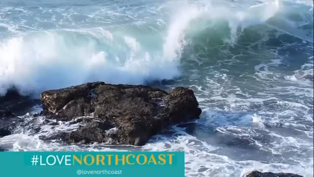 Grateful to be part of a community that feels like home ❤️
The North Coast is more than a place - it’s people, passion, and heart. We are so proud to be raising little humans in a space filled with so much love 🌊✨
Thank you @lovenorthcoast for capturing the magic 🫶📍
#villagekidz #edenvillage #saltrock #lovenorthcoast #homeiswheretheheartis