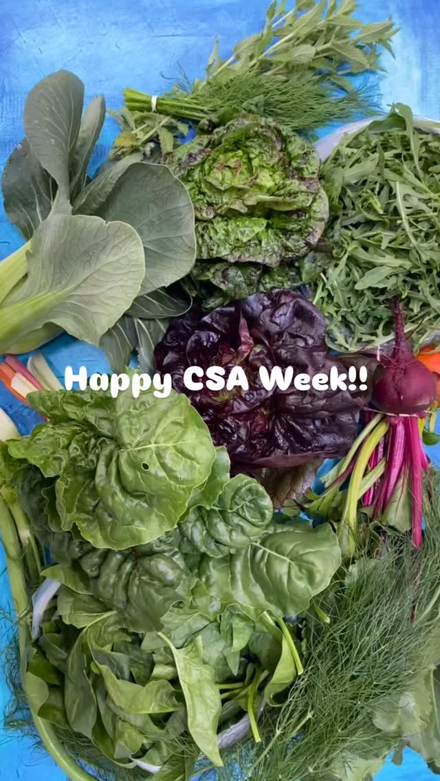 It’s CSA Week! 🥕🥔🥒🫑🧄🫛🍆🍅🧅Join us in celebrating access to local food! Sign up for your own CSA share to enjoy Moab’s local bounties. Visit our website to find all the CSA options available for 2026! #csaweek