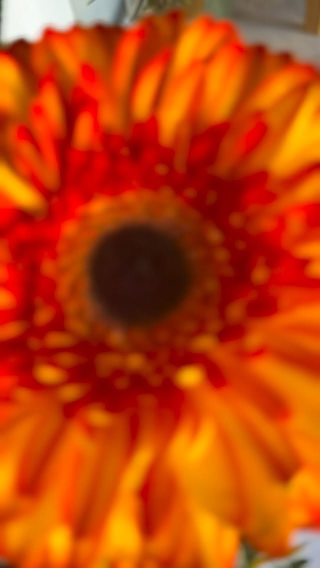 Our talented designers have been busy getting ready for Valentine’s Day, but we have lots of unique arrangements on the floor ready for pickup or delivery. #downtowntraversecity #freshflowers #localflorist #buylocal #societyofamericanflorists