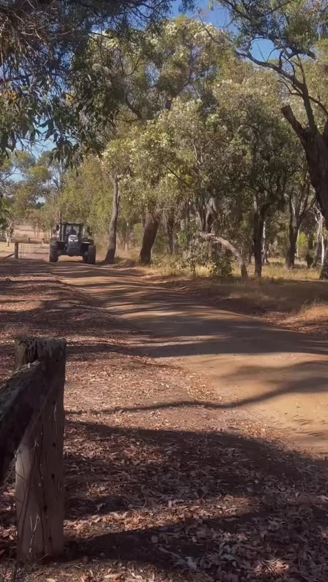 Keeping your machinery clean and well maintained isn’t just about presentation — it’s one of the simplest ways to protect your investment and keep it performing at its best, no matter the job.
Whether you’re spreading fertiliser, seeding, towing a chaser bin, or feeding out, regular cleandowns and routine checks make a huge difference. Dirt, dust, fertiliser residue, and grime can quickly build up and cause unnecessary wear, corrosion, and costly downtime if left untreated.
This brand new and recently delivered Massey Ferguson 8S.305 Dyna-VT with a Hansa T12 spreader is getting a good washdown straight after its first job — exactly what we love to see!
Washing off product immediately and keeping on top of daily, weekly, pre-season, and post-season maintenance helps ensure your machinery stays reliable, efficient, and ready for the next run.
A few minutes of care goes a long way toward years of performance.
Clean machine. Longer life. Better results.
@masseyfergusonglobal #mfborntofarm #hansat12 #southernforestmachinery #mf8s305dynavt