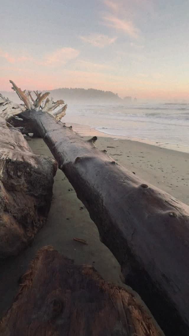 “I am the heart you call home” — 💘🌊🌲
My first week in my dream position as a road designer for the WA Department of Natural Resources, out here in coastal rainforest paradise.
Back where I grew up exploring, close to my family & friends again, after so long away, traversing the globe.
My great grandpa was an engineer, my grandpas, dad & now me; something I never thought I’d say.
Life’s strange, but I’m head over heels about this place 🌞
& happy I can keep it safe
#womeninengineering #pacificnorthwest #coastalrainforest #publiclands #fullcirclemoment