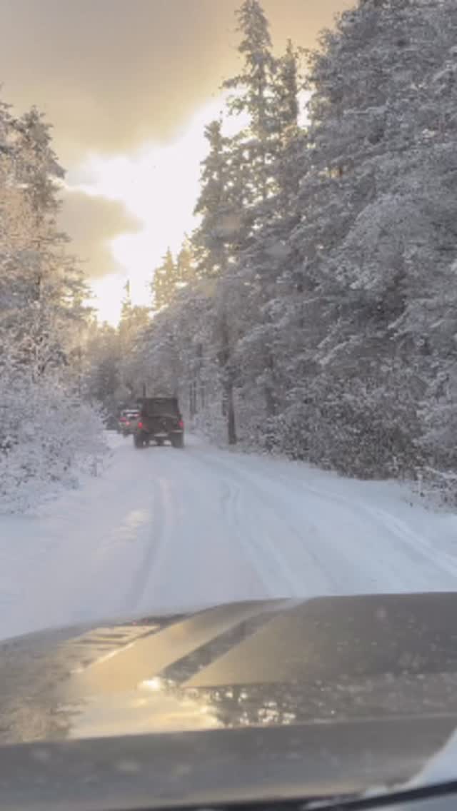 Rolling into winter wonderland. #tacomaworld #tacomalifestyle