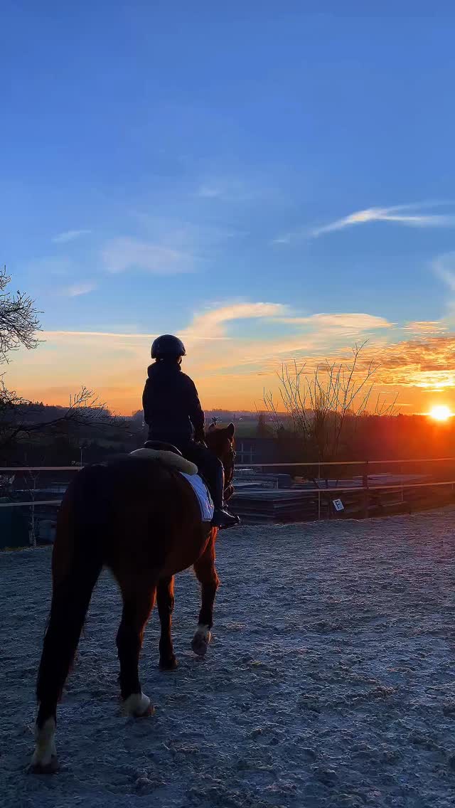 Ponys, Kinder und viele schöne Momente dazwischen.
Unsere Kinderreitstunden.
#ponyliebe #pferdemomente #ponykinder #ponyzeit #kinderreiten