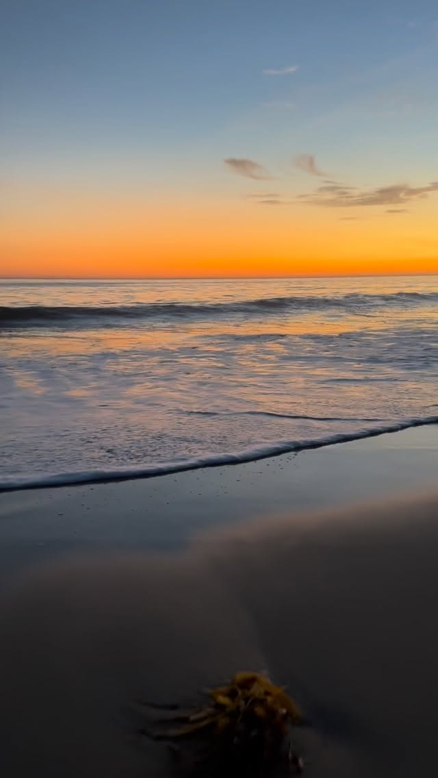 🐍
The mind will try to put the old skin back on. Not because it was perfect —
but because it’s familiar, and familiarity feels safe when you’re exposed.
But snakes don’t re-enter old skins.
They outgrow them.
#snake #shed #release #clear #healing