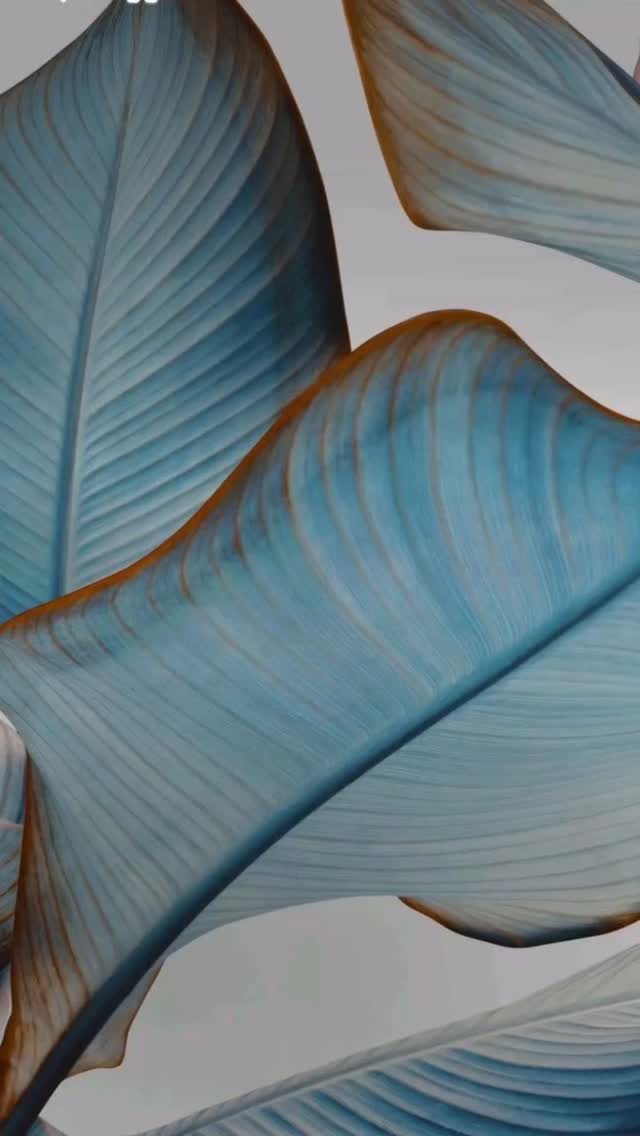 Three stones.
Three energies.
One powerful statement. ✨
Welche Energy brauchst du heute? 💜💙🔥
Find your match — jetzt im Shop erhältlich.
#statementrings #handmadeaccessories #energyvibes #slowfashionlabel #unikatschmuck