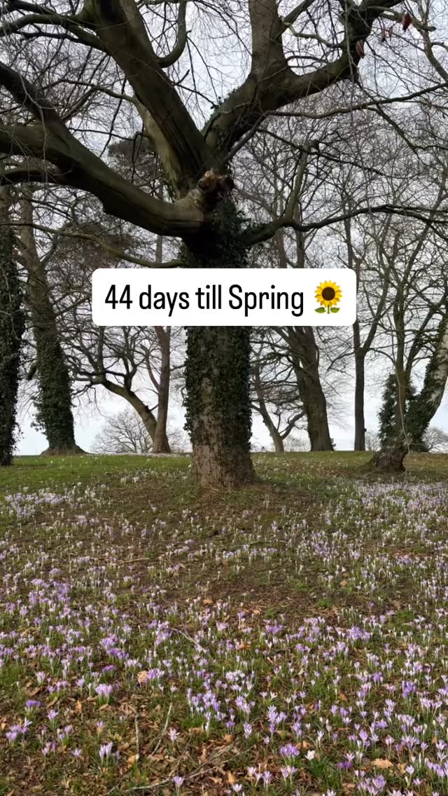 With such gloomy grey weather 🌦️ many are operating on low energy and low vitamin D levels but spring is round the corner 😃
We can use this period of hibernation to nurture ourselves and prioritise selfcare and reflection
Im attending a painting workshop today as part of my selfcare package!
Let me know what’s on your selfcare list this month 🥰