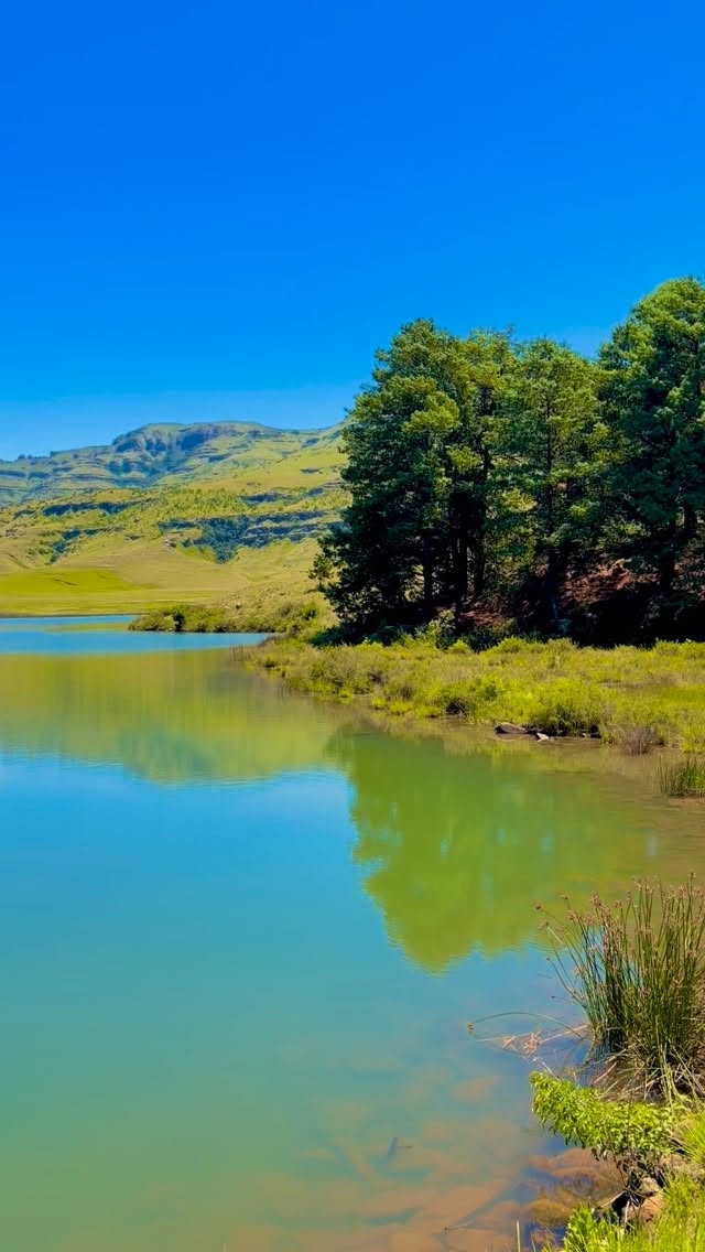 A slice of wild beauty in the Drakensberg 🏔️
Giants Cup Wilderness Reserve never disappoints.
#giantscup #drakensberg #wildernesswonder #naturelovers #southafrica