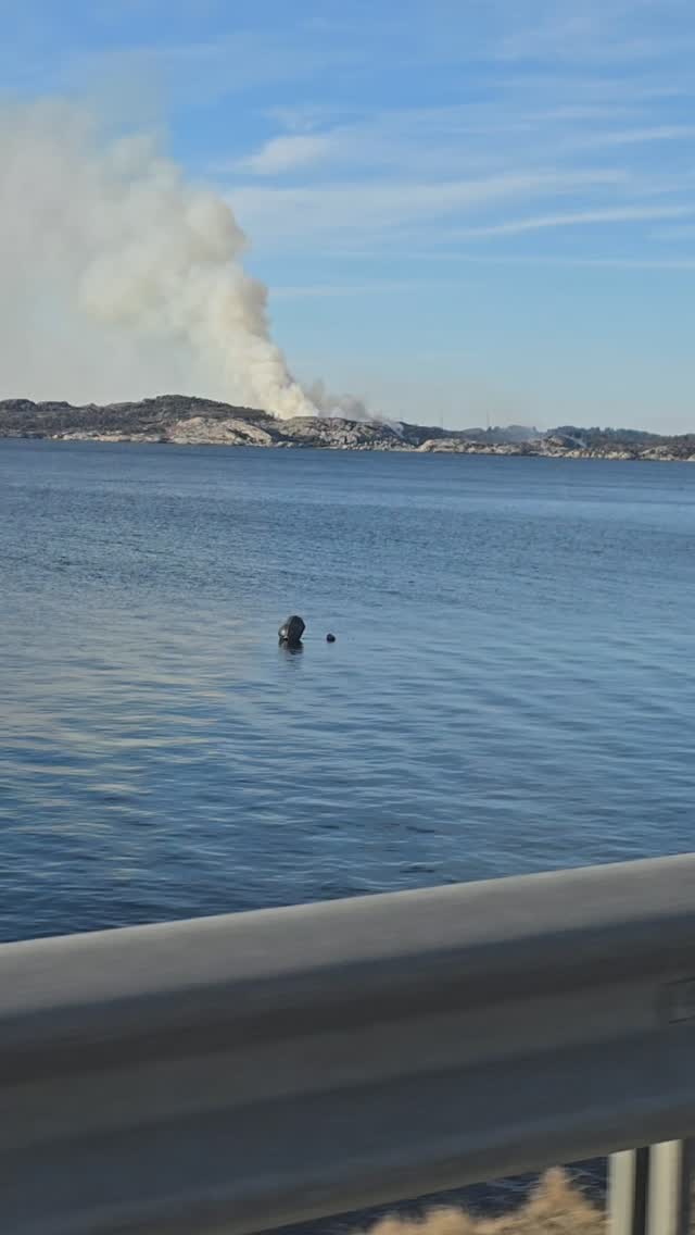 Cray!we just drove by this forest fire... glad it is a remote island, so it will evenrually die out by itself...