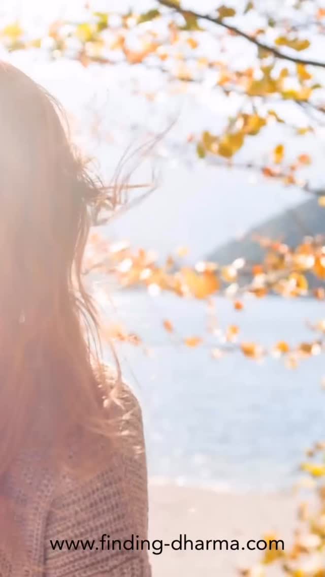 #selfloveworkshop #returntoselflove #selfloveisimportant
An invitation to journey back to your heart …
To reconnect with balance.
To nourish yourself.
To celebrate and honor every part of you.
Join us February 15th for a heart-opening afternoon of sensory and healing practices - including a guided somatic tea ceremony, an introduction to your unique love language, and a personalized Self-Love essential oil blend, and so much more.
If you’ve been longing to come back to yourself - this workshop was created for you.