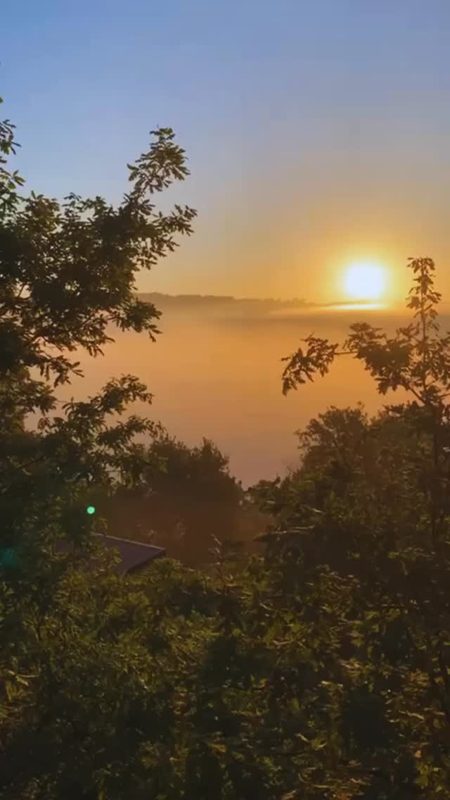 Deveza Retreats 2026 ♥️
For those who want to gift themselves a week of yoga, meditation, breathwork, culinairy catering, nature, sunshine..
A week of deepening your yoga practice, with professional guidance
A week of exploring breathwork, in a safe space.
A week of calmness, inspiration, slowing down, reflection.
A week filled with the best retreat food you ever had.
A week being surrounded by nature and good company.
This year we organise 3 Deveza Retreats:
🌴 6-12 June | 6 nights | GerJan van de Kamp & Karin Seelen @kernyoga
🌴 30 aug-4 Sept | 5 nights | Martina Lisa Ferstl & Karin Seelen @feelyoga_berlin
🌴 12-18 Sept | 6 nights | GerJan van de Kamp & Karin Seelen
Www.landofdeveza.com/retreatsportugal
Any questions? Send us a message. Feel like a get-to-know-us call? Let us know and we’ll schedule one!