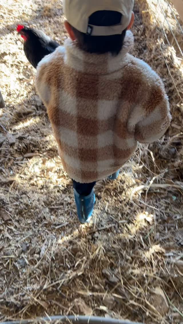 Been crazy busy with the cold snap and cleaning things up, but the sun is finally out again and the hens are laying again