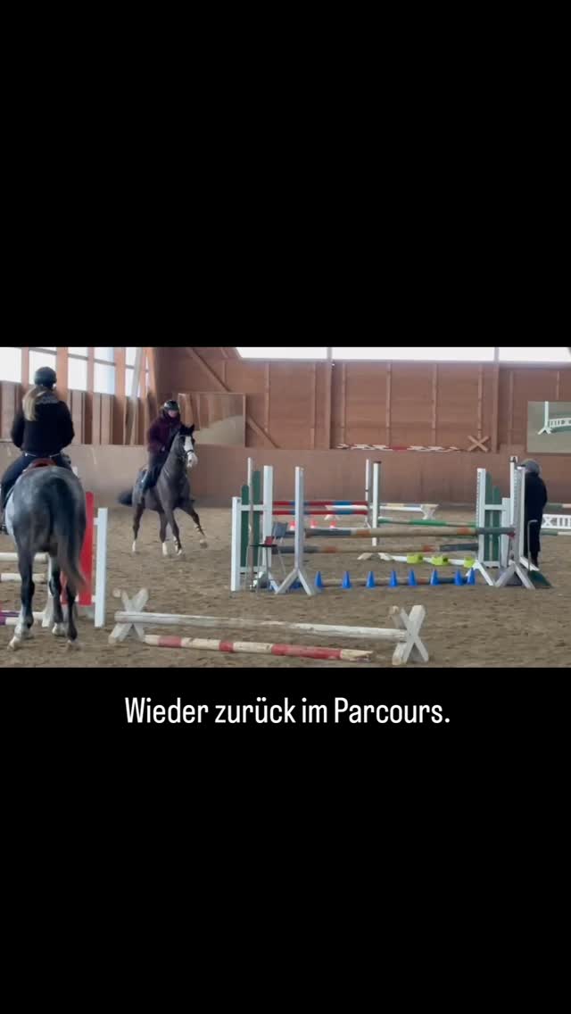 Nach einer Verletzung und fast neun Monaten Pause
wieder im Parcours.
Dankbar für jeden Sprung –
mit Geduld, System und einem jungen Pferd.