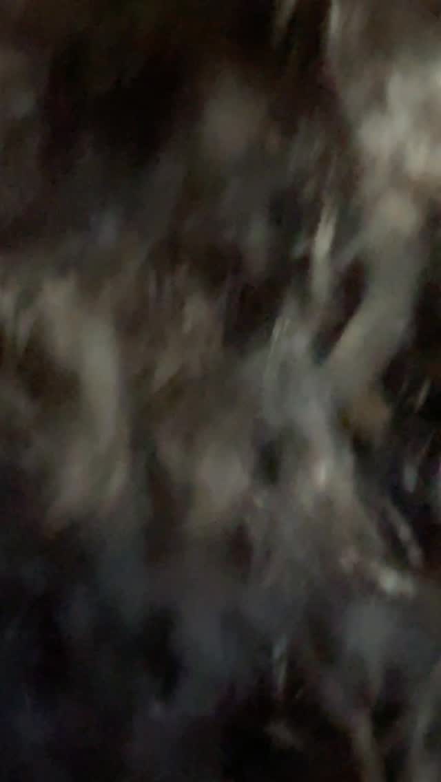 Before ➡️ After
Curly cut done by me 🥰
A soft reshape to enhance bounce, boost volume, and let her natural curls do their thing.
Healthy shape = happy curls ✨
💃🏽 🔥We are a vibe so the bond works 😂 💙 @arrietatax
#wellapassionstausa #kiquestudios #wellaartist