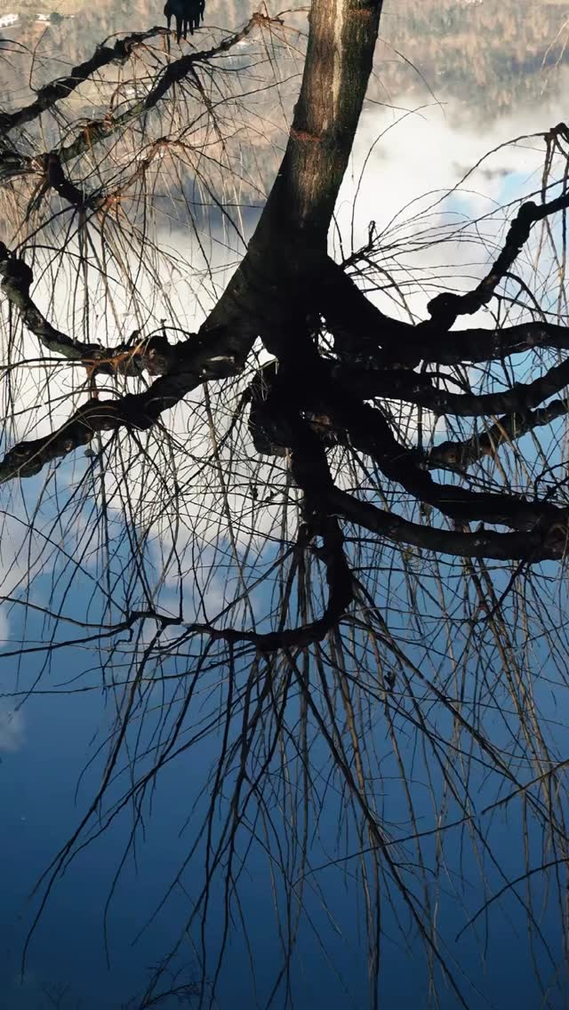 Hello February! 🌞❄️🌷🌿
📍Täglich geöffnet | 9:30 – 18:00 Uhr
Wir freuen uns auf deinen Besuch!
#Kunstgarten #Kränzelhof #LandArt #Gartenkunst #Naturerlebnis ArtInNature SüdtirolEntdecken KunstUndNatur AusflugstippSüdtirol Skulpturengarten SüdtirolUrlaub Gartenglück Kunstgenuss Naturparadies VisitSouthTyrol