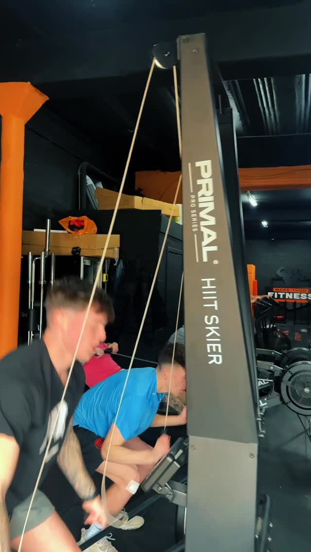 GRAFTERS, GRAFTING😅