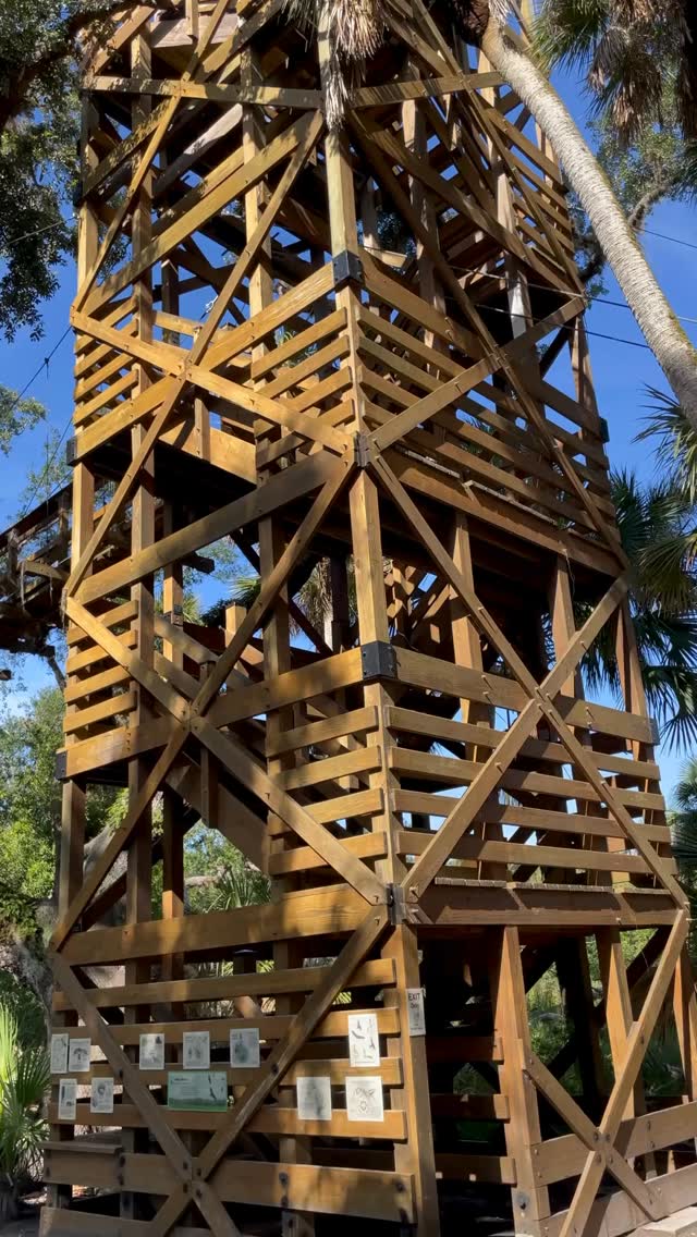 Você sabia que a Flórida tem a PRIMEIRA ponte suspensa entre as copas das árvores da América do Norte?
No Myakka River State Park, você pode caminhar entre as copas das árvores, subir 74 pés acima da floresta e apreciar vistas panorâmicas de pradarias, bosques e pântanos.
Mas isso é só o começo…
🐊 Aviste jacarés ao longo do rio
🦩 Observe pássaros
🚣 Reme pelas águas selvagens da Flórida
🏕️ Hospede-se em cabanas rústicas construídas na década de 1930
Localizado em Sarasota, Myakka é o lado selvagem da Flórida esperando para ser explorado. 🌴
👉 Você teria coragem de atravessar essa ponte suspensa?
🇺🇸🇺🇸🇺🇸
Did you know Florida is home to North America’s FIRST canopy walkway?
At Myakka River State Park, you can walk through the treetops, climb 74 feet above the forest, and take in panoramic views of prairies, hammocks, and wetlands. But that’s just the beginning…
🐊 Spot alligators along the river
🦩 Birdwatch from the boardwalk
🚣 Paddle through wild Florida waters
🏕️ Stay in rustic cabins built in the 1930s
Located in Sarasota, Myakka is Florida’s wild side waiting to be explored. 🌴
👉 Would you brave the canopy walkway?
#southwestflorida #VisitFlorida